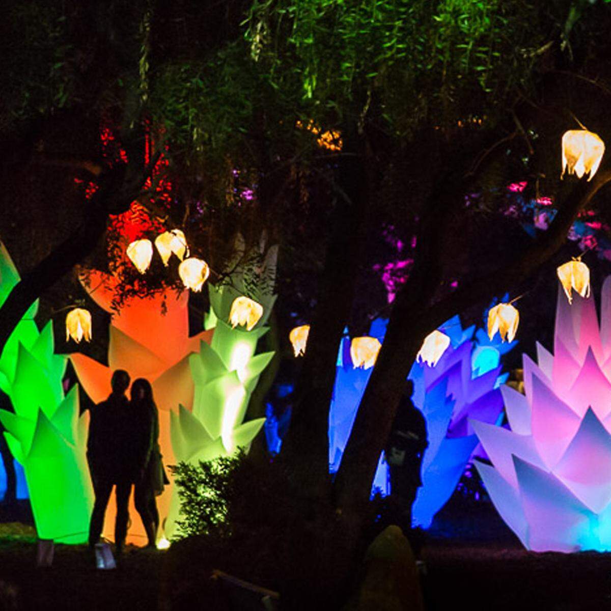 Astro Botanicals Garden of Light will be at Moore Square as part of First Night Raleigh events. It will be open to First Night Raleigh ticket-holders Dec. 28 and Dec. 31.