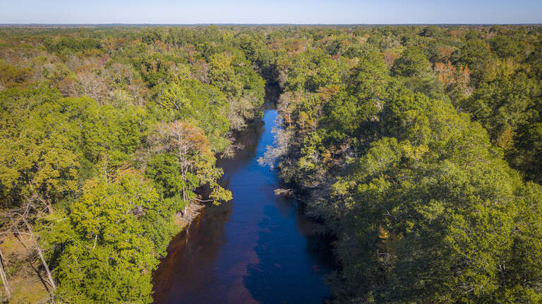 With purchase of 3,005 acres, this state park is now NC’s second largest