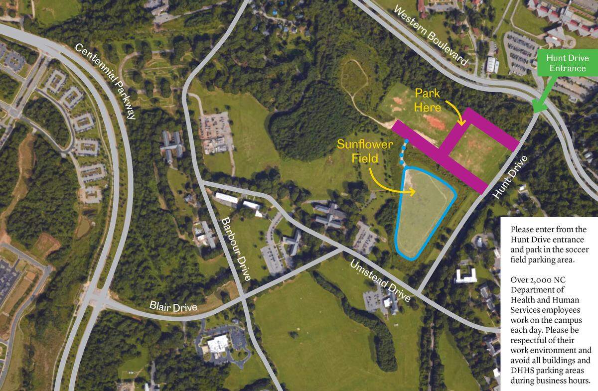 A map of where to park at the Dix Park sunflower field.