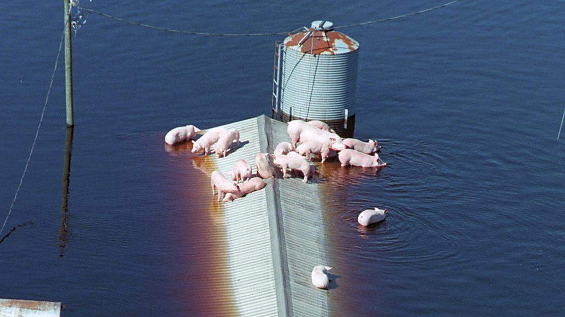 NC leads nation in shrinking environmental agency, leaving water, land unprotected