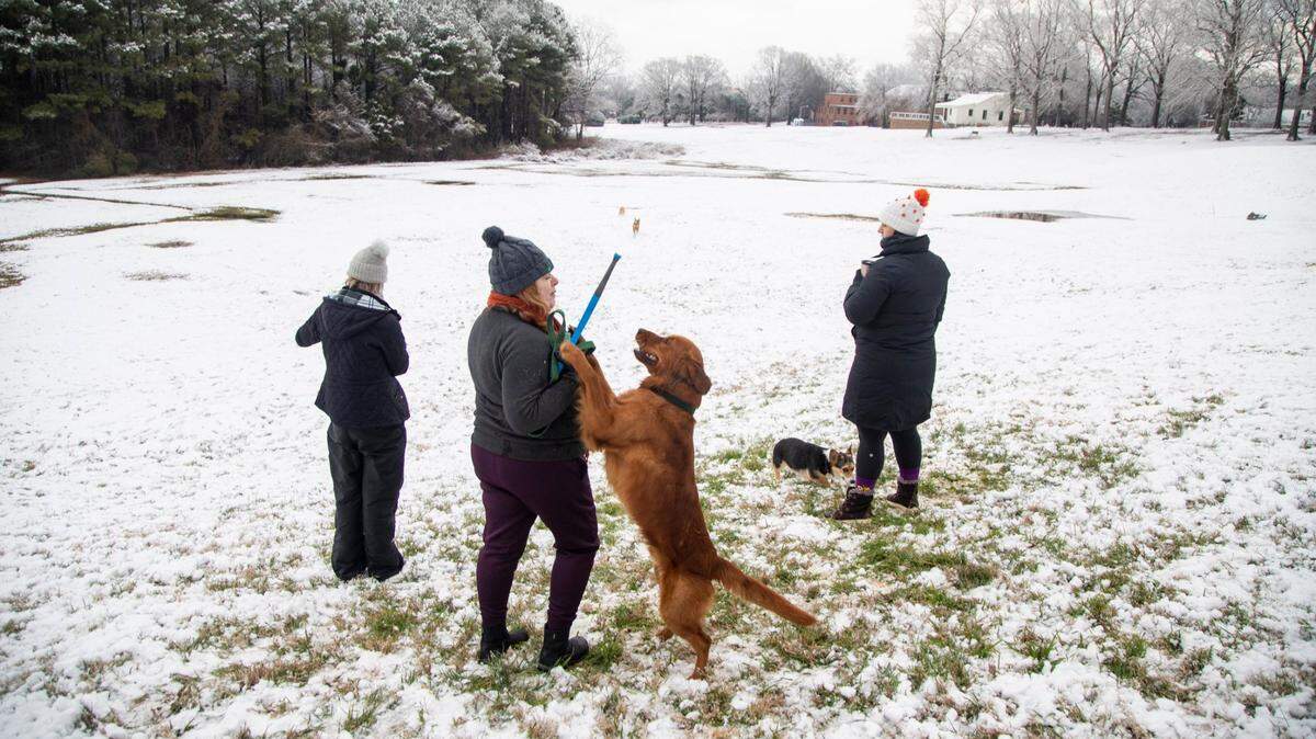 From left, Caroline Bobbie, Katy Fitzgerald and Kristin
Youell play fetch with their dogs at Dorothea Dix Park Thursday, Jan. 28, 2021.Triangle residents woke up to a light blanket of snow across much of the region.