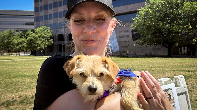 Should NC pass a law to protect outdoor pets from extreme weather?