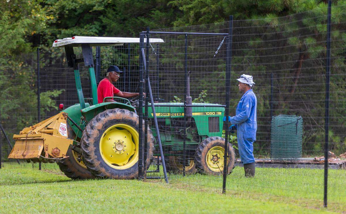 Tom Savage exits a portion of his fenced in garden on his tractor on Thursday, September 8, 2022 at Allied Organic Farms in Hurdle Mills, N.C. Savage hopes to get more grant funding to enclose other plots on his farm to prevent Deer and other animals from destroying his crops.
