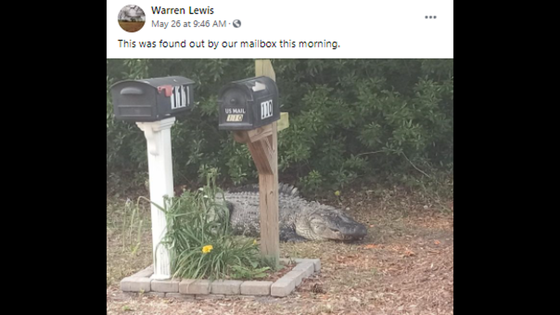 Warren A. Lewis says a neighbor, Rick Talbot, took this photo and sent it to him that morning as a text.