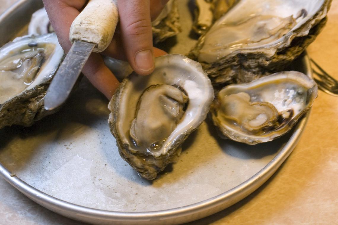 Oysters on the half-shell served at 42nd Street Oyster Bar in downtown Raleigh.