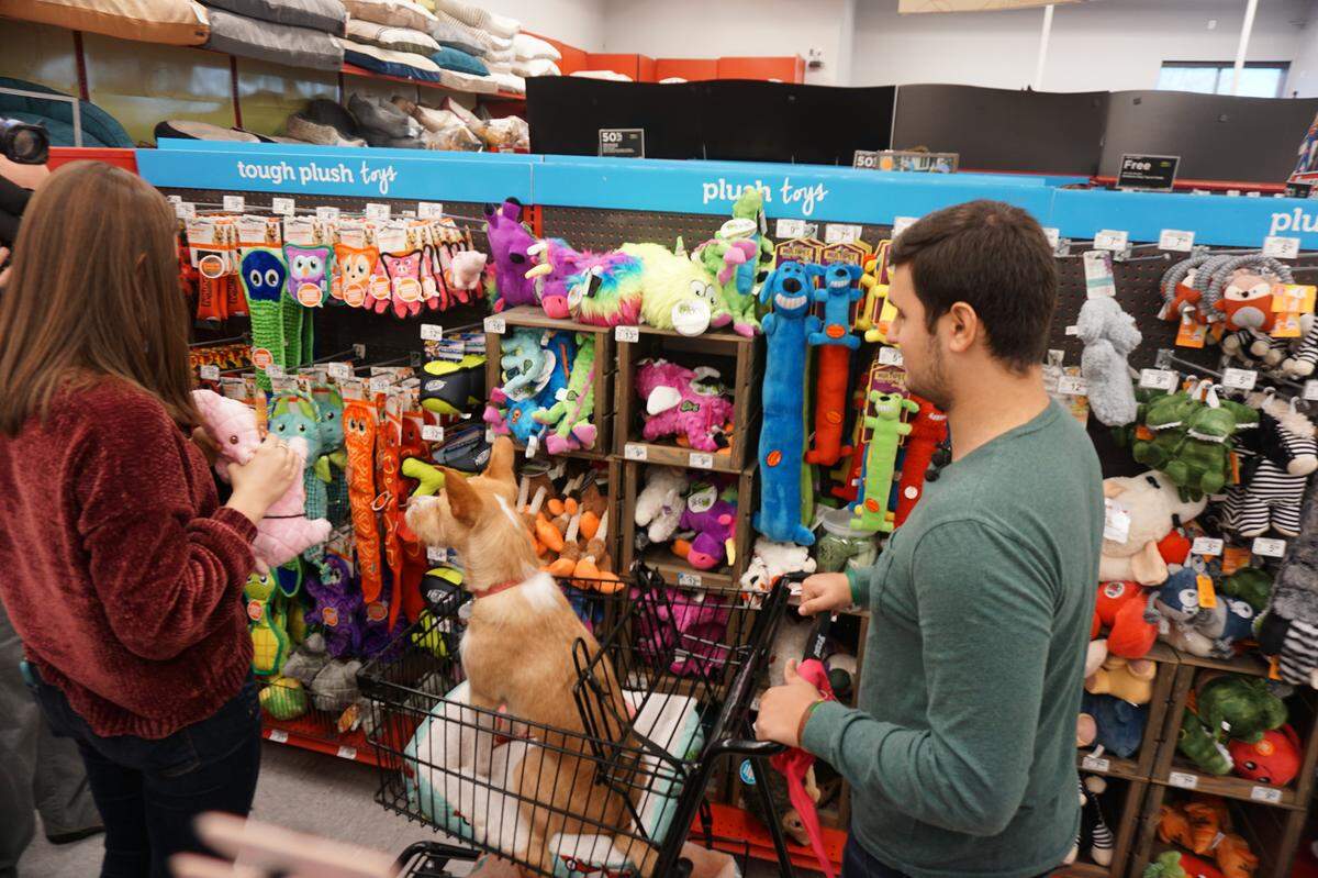 Drew Pescaro, his fiancé Erin Wilson and his dog Lily on a $500 shopping spree at Petco in Durham. Pescaro was awarded the money through Petco’s Holiday Wishes grant campaign. Photographed on Dec. 12, 2019.