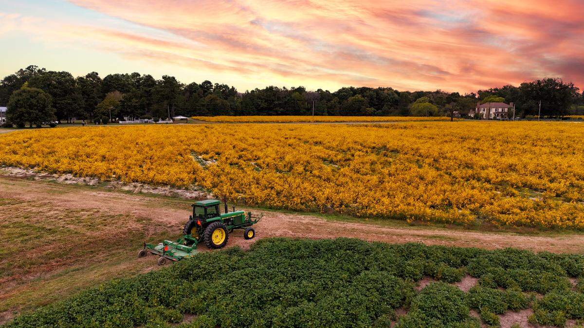 The former Rose Dairy Farm south of Smithfield, North Carolina, will become the first county-owned nature preserve in Johnston County.