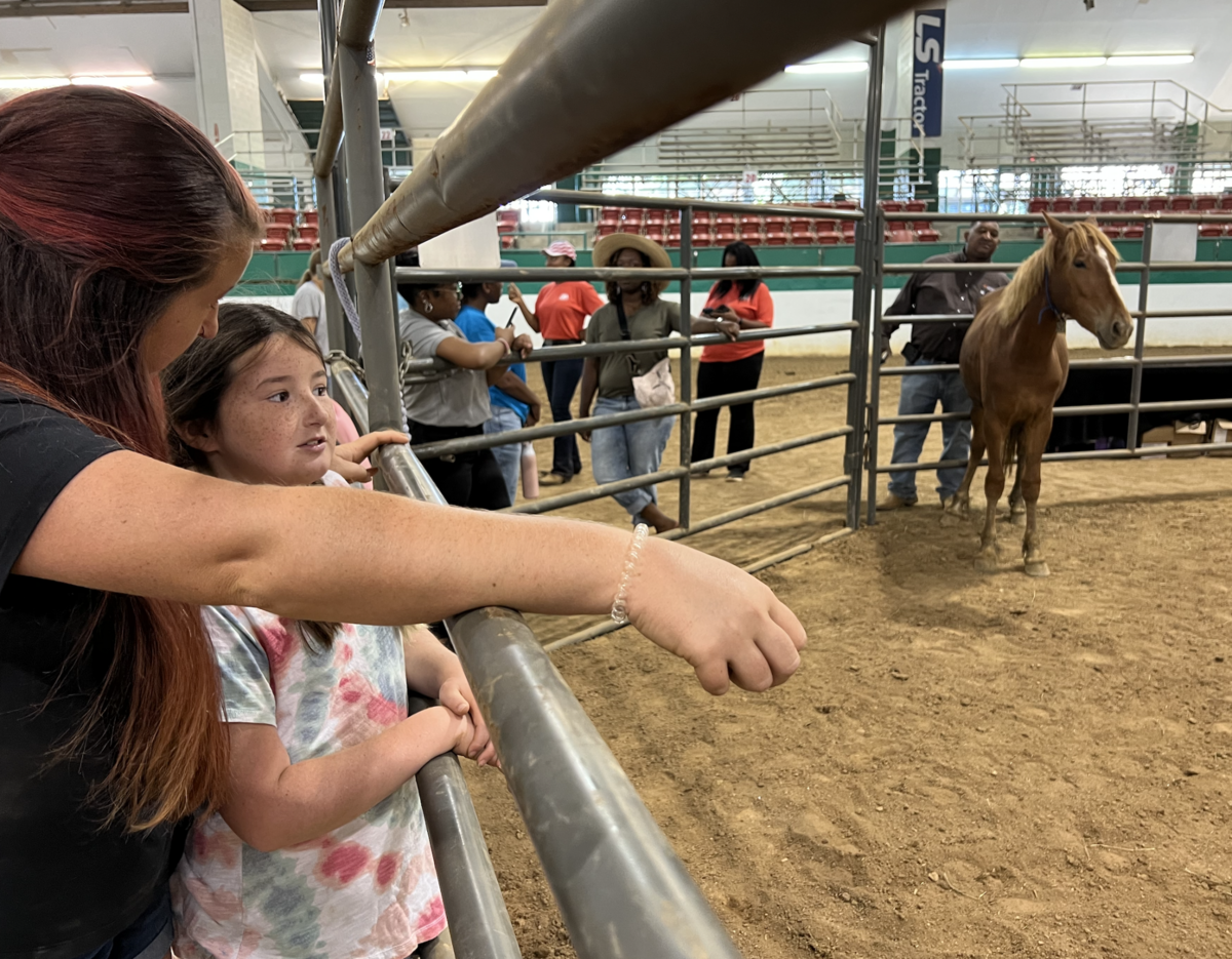 Rachel Weeks, from Graham, and her 8-year-old daughter, Charlie, were among the attendees at a “Wild Horse and Burro” adoption event in the Governor James B. Hunt, Jr. Horse Complex, west of downtown Raleigh, on Saturday, Aug. 19.