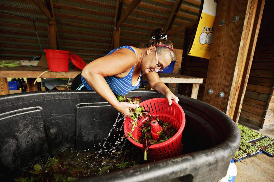 Donna Brown, a participant at Benevolence Farm near Graham, washes greens Oct. 15, 2018. The farm is a nonprofit residential program for women who have been incarcerated and offers the women a six-month lease, which can be extended for up to two years.