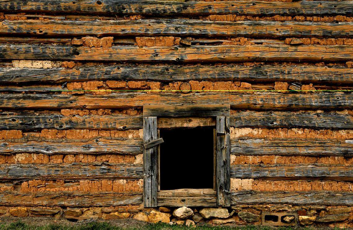 Red clay chinking fills spaces between the hand hewn logs of an old tobacco barn in Rockingham County.  Log tobacco barns were common in when tobacco was the main cash crop of the area northwest of Raleigh near the Virginia border.