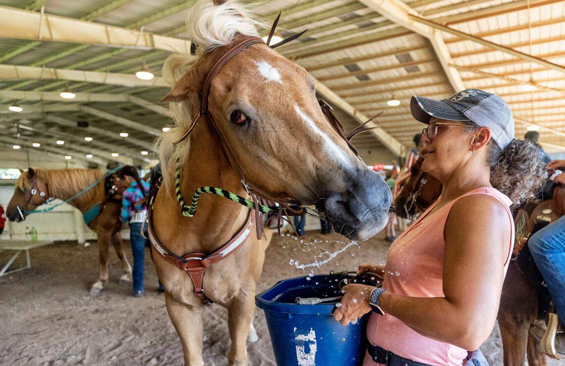 Andrea Akers offers Diamond, a Palomino Quarter Horse a drink of water from a five-gallon bucket as Diamond prepares to barrel race during the 2022 NC State 4-H Horse Show at the Hunt Horse Complex at the N.C. State Fairgrounds on Wednesday, July 6, 2022 in Raleigh, N.C.