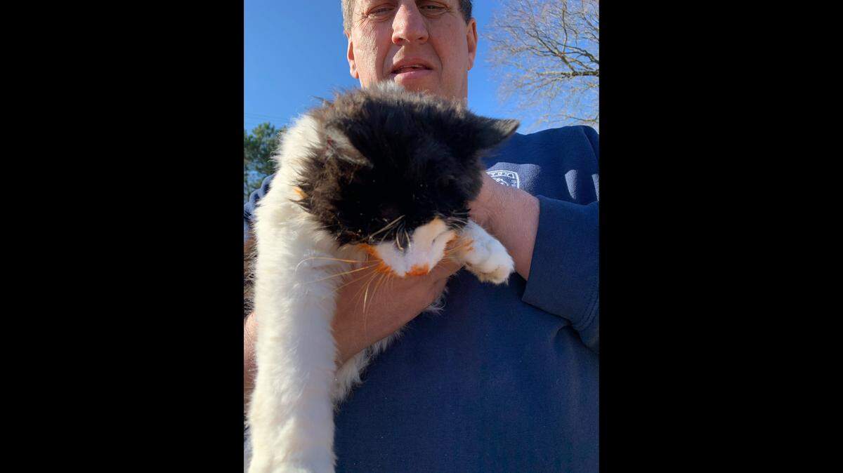 A cat had sauce on its face after getting stuck in a Chef Boyardee can, North Carolina officials say.