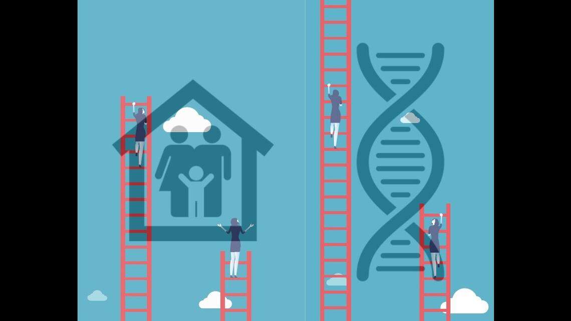 New research from Duke and UNC shows that genes can affect social mobility through education, career advancement and wealth.