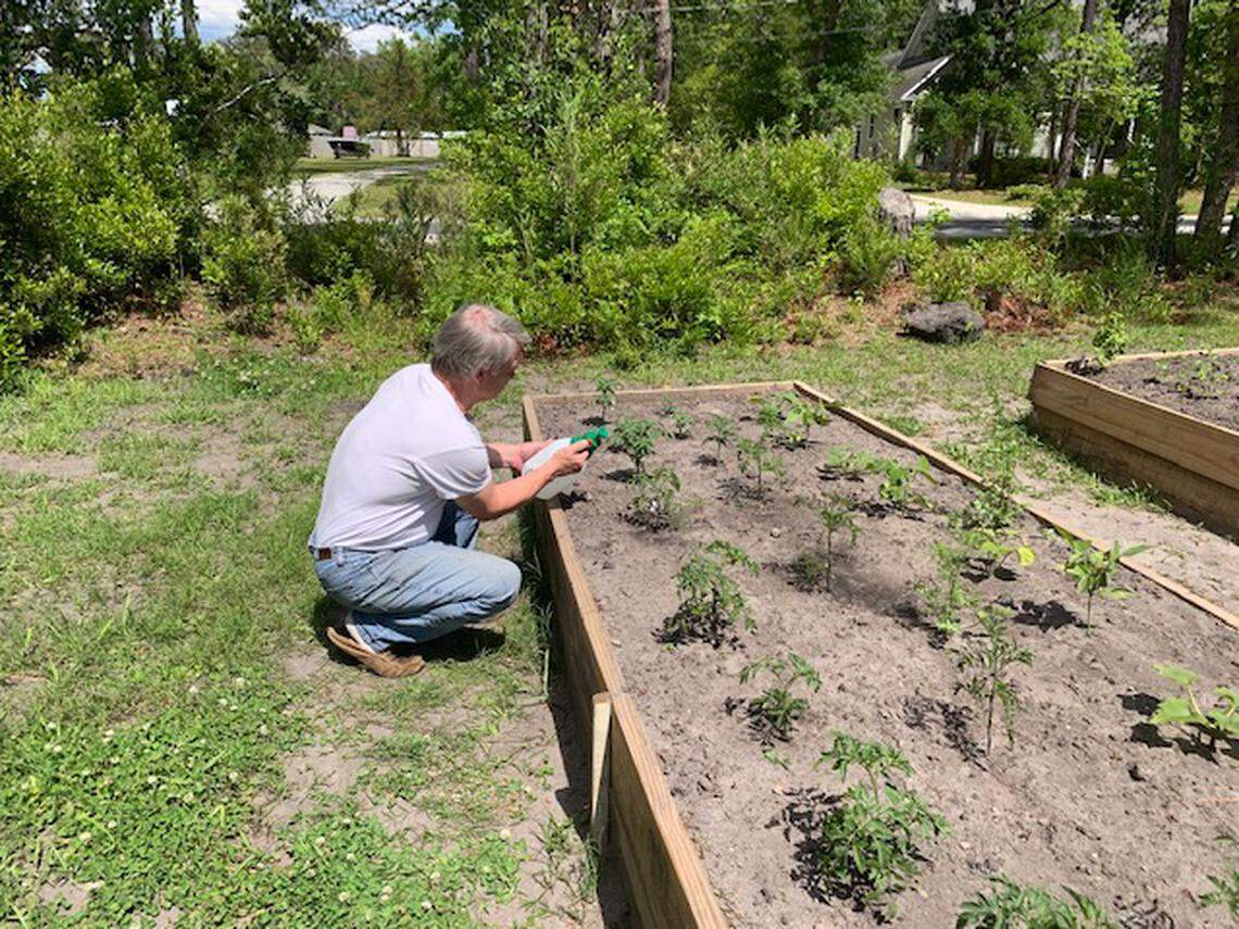 Spring is the perfect time to get your backyard garden in order.