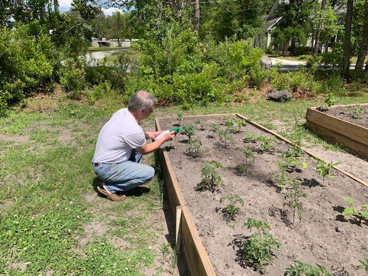 Spring is the perfect time to get your backyard garden in order.