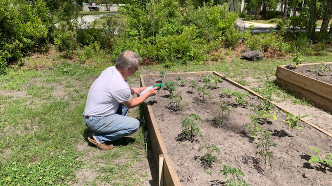 NC Gardening Guide: When to start planning your backyard garden for spring