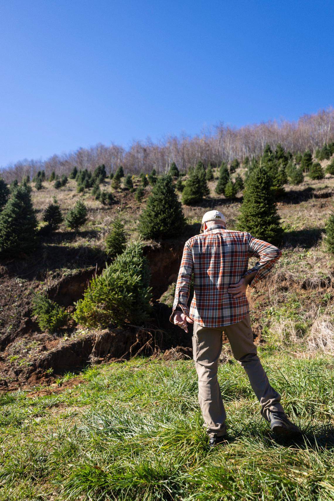 David Pittman surveys damage to his Christmas tree farm caused by a landslide from the remnants of Hurricane Helene, during the opening day of Christmas tree season on Saturday, Nov. 16, 2024.