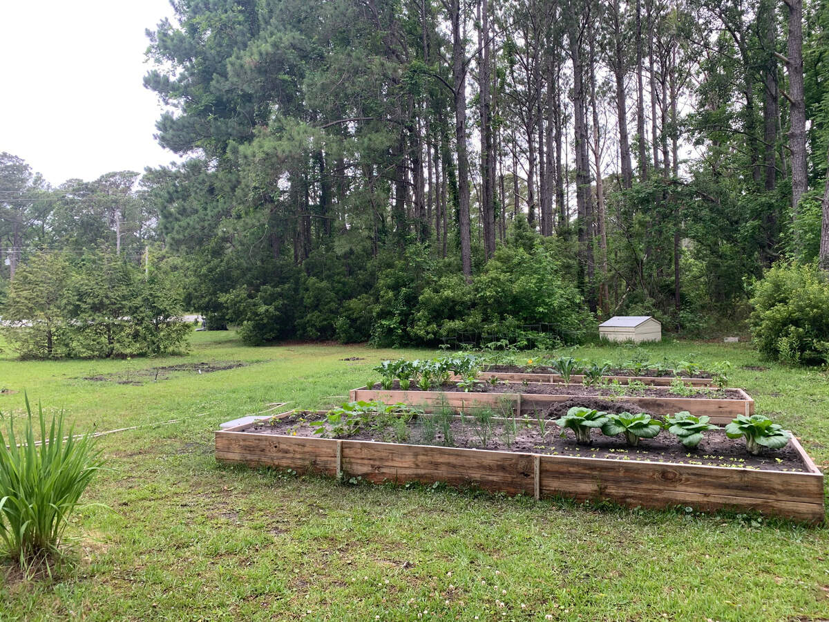 Anne Kepplinger, who planted a garden during the pandemic, shares how it is shaping up after heavy rains.