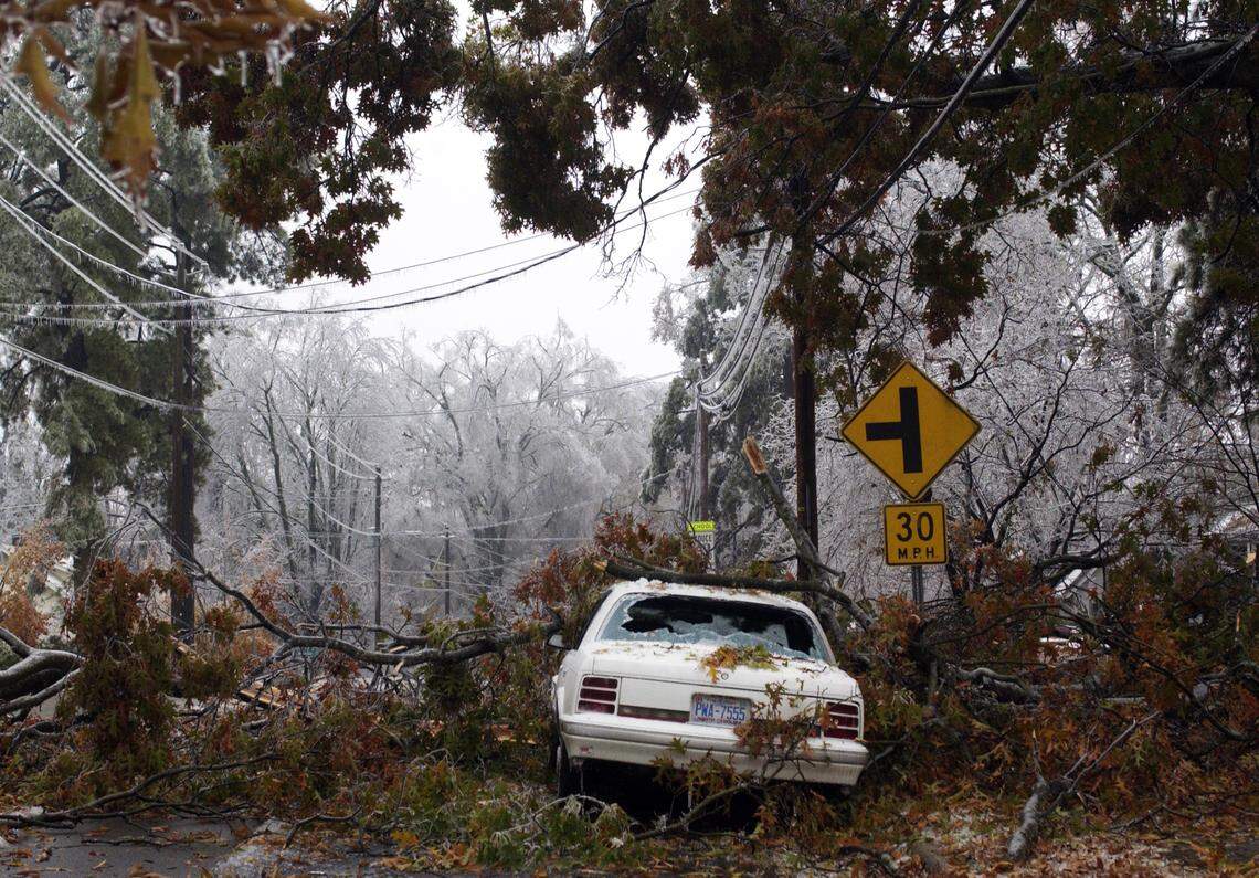 A car suffered the consequences of being on the path of falling tree branches on Brooks Ave. in Raleigh Thursday morning. The ice-storm that hit the Triangle on Wednesday created many scenes like this one on Thursday.
