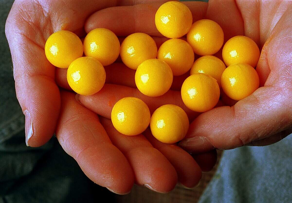 Paintballs are about one half inch in diameter and are filled with paint.