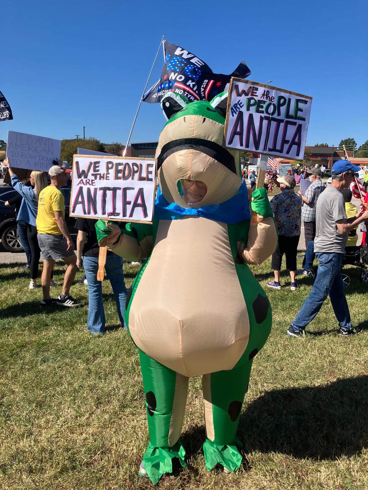 A costumed protester at the No Kings rally in Cary.