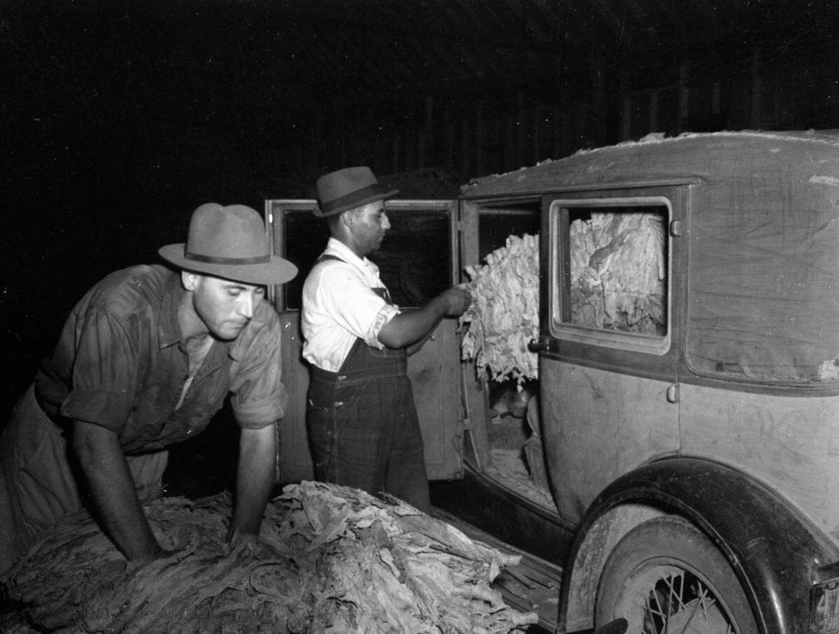 Workers unload tobacco from a car for lay out before auction in Whiteville, NC in 1941.