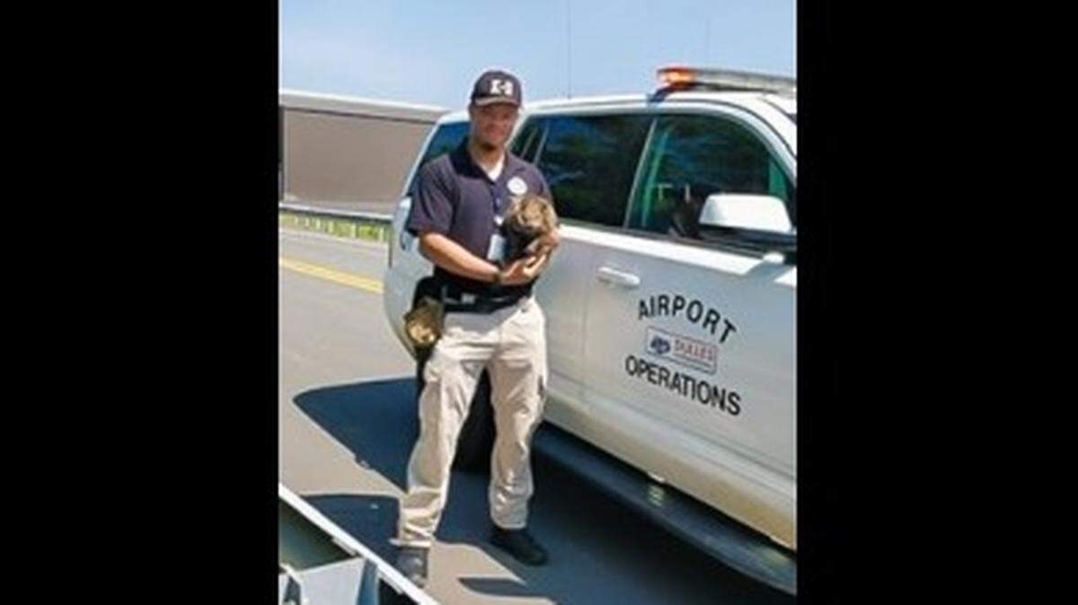 Shelby Tibbs, an explosives detection canine handler for the TSA, is credited with saving a groundhog from an airport runway.