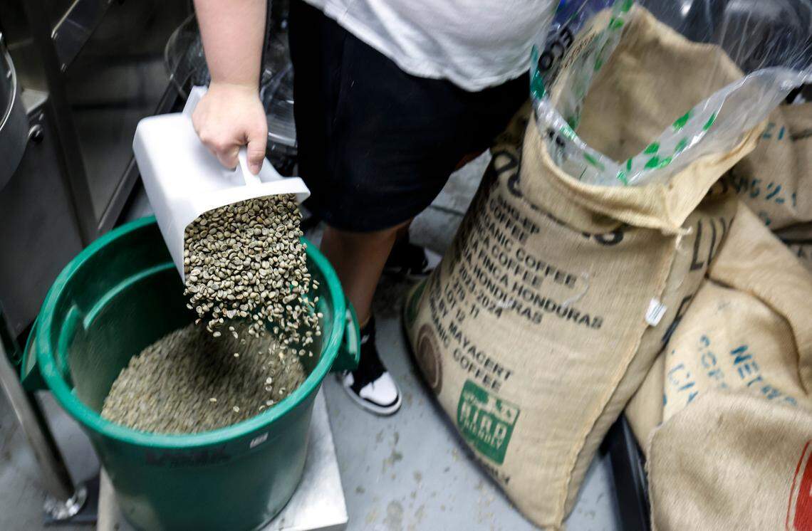 Sophie Pacyna scoops out 26 lbs. of coffee beans from Honduras before the beans are roasted at the 321 Coffee roasting facility in Raleigh, N.C., Tuesday, June 25, 2024.