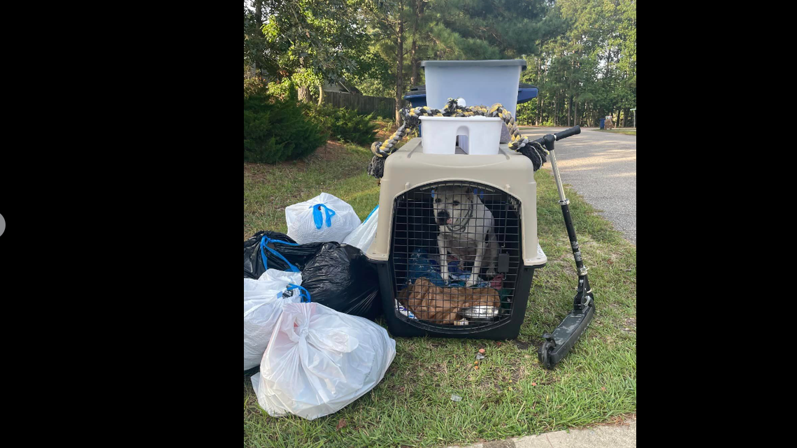 Trash collectors helped Moe-Moe the dog before he was adopted, North Carolina officials said.