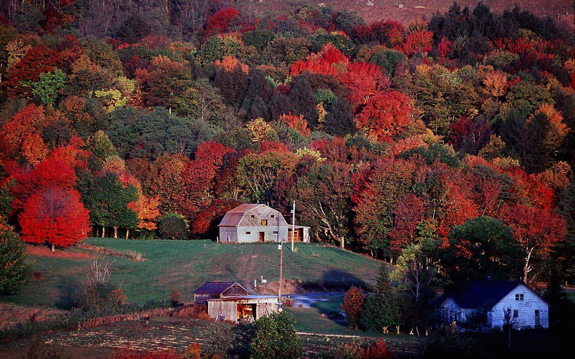Vibrant fall foliage covers a mountainside overlooking a small farm in the Matney community in western Watauga County near Boone in 2023.