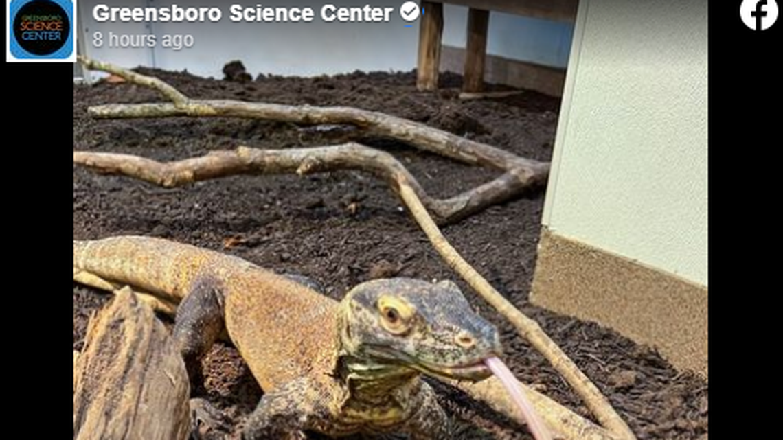 The critter’s arrival comes months after a heartbreaking loss for the science center.