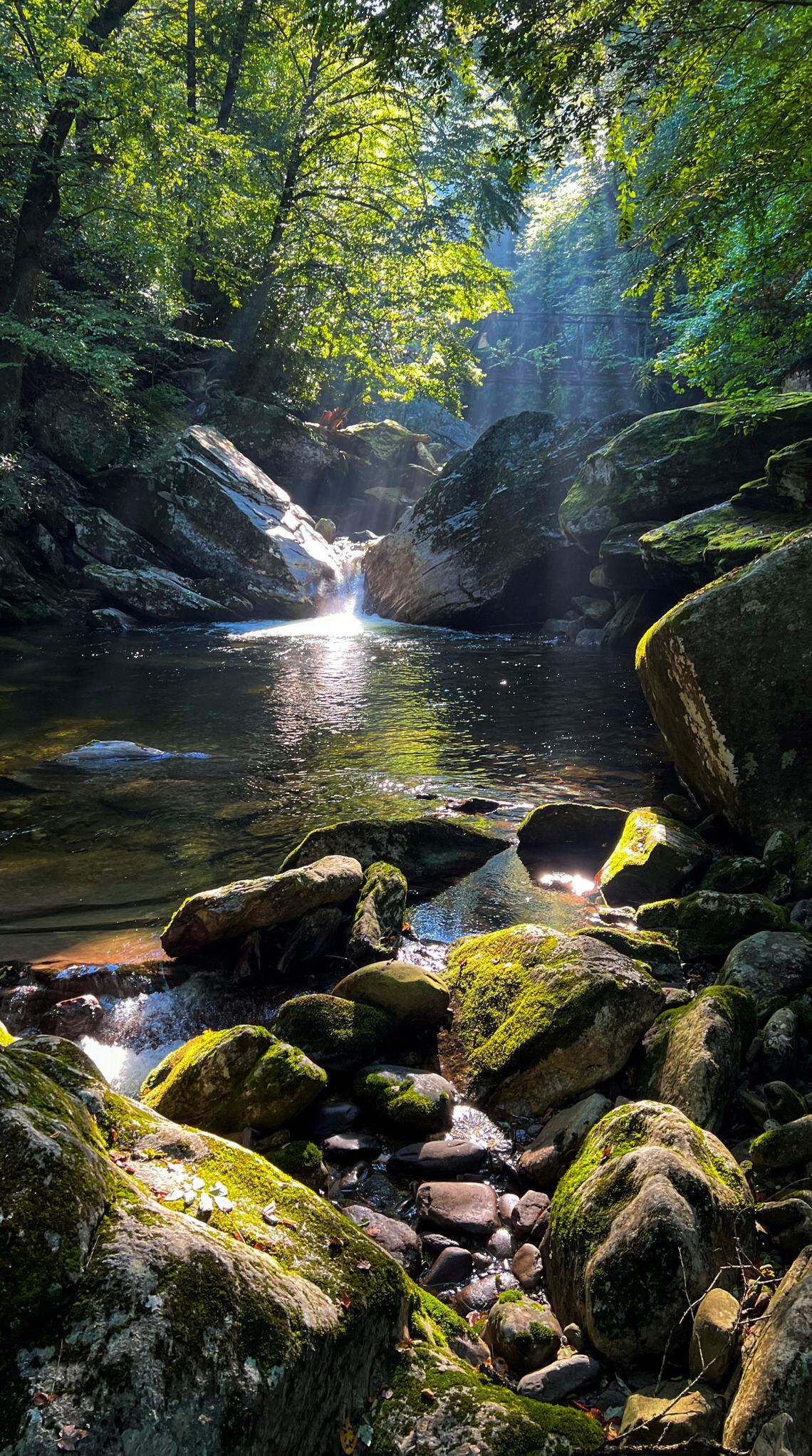 Morning sunbeams shine through the tree canopy on Raven Fork near Backcountry Camp 47 in the Great Smoky Mountains National Park.