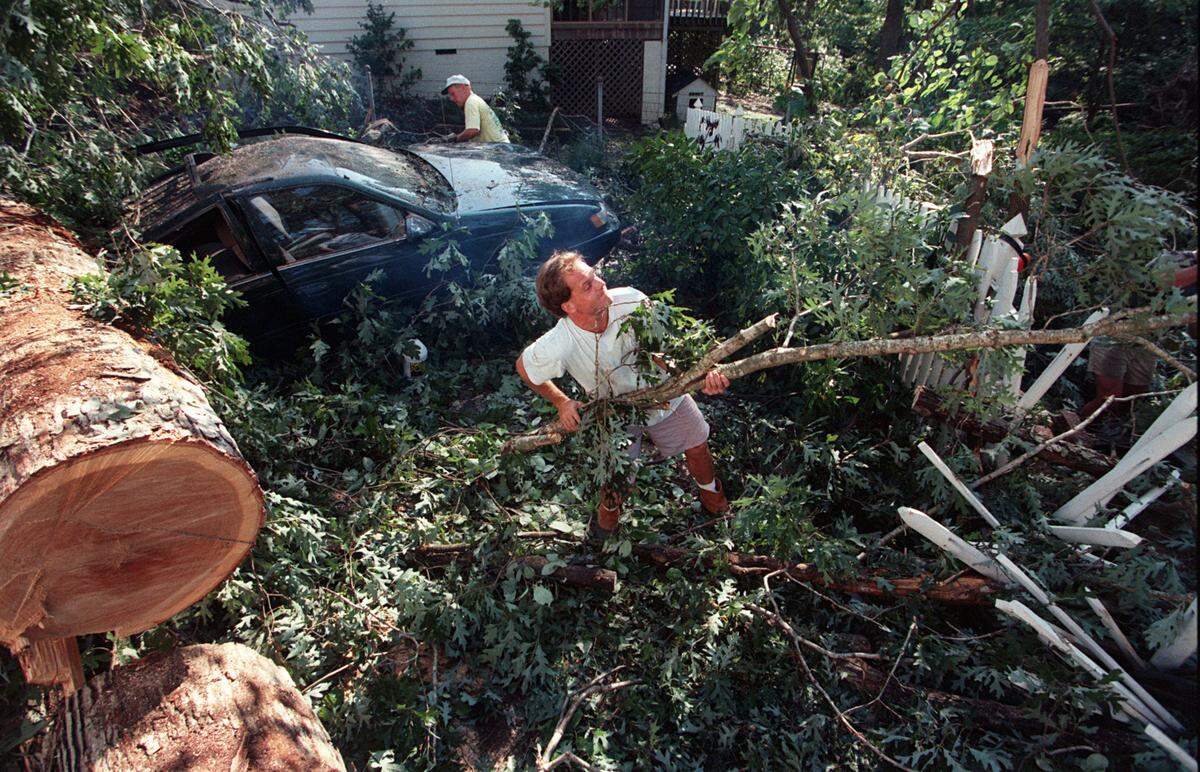 John Young clears a sawed limb from a fallen oak tree in his yard at 2410 Anderson Drive in Raleigh, NC. The tree, one of several large oaks that fell in his yard, crushed his company car. staff/scott sharpe