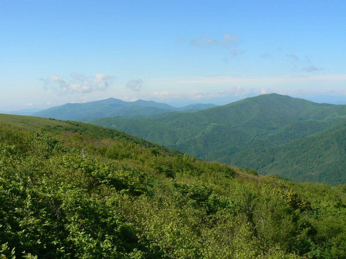 Peaks in the Blue Ridge Mountains near Spruce Pine, North Carolina, where the world’s purest quartz is found.