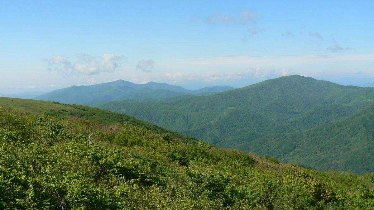 Peaks in the Blue Ridge Mountains near Spruce Pine, North Carolina, where the world’s purest quartz is found.