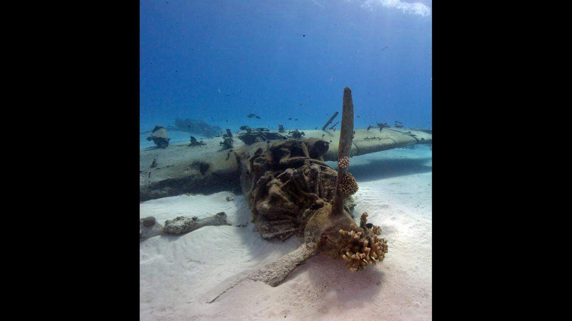 Researchers are investigating underwater wreckage from World War II, a North Carolina university says.