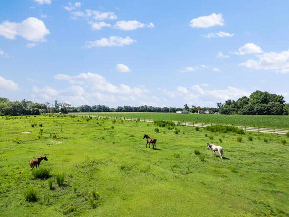 Animal Edventures Sanctuary, also known as Earth-Speak Park, spans 25 acres of mostly grassy pasture in Coats, in Harnett County.