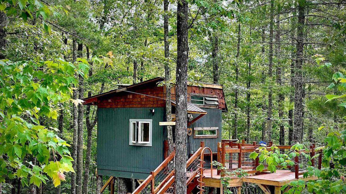 A 9-year-old North Carolina boy invested $6,000 to build his “dream treehouse” and has listed it on Airbnb.