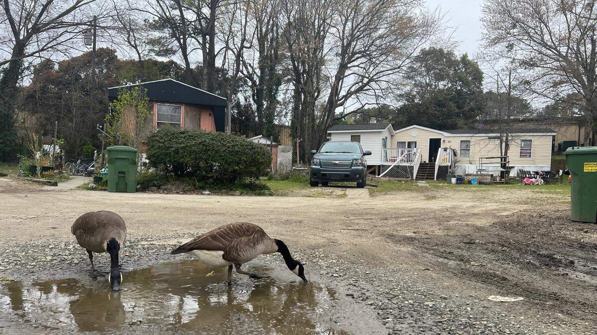 Chatham Estates, a mobile home park in east downtown Cary, is for sale. Owners of mobile homes may soon be facing enormous increases in insurance rates. 
