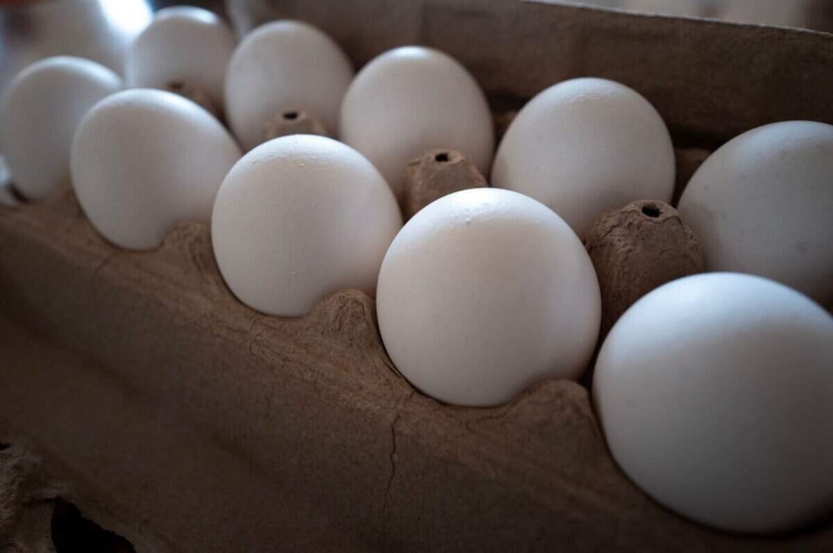 CHICAGO, ILLINOIS - MARCH 12: In this photo illustration, eggs are displayed in an egg carton on March 12, 2025 in Chicago, Illinois. The average price of eggs rose over 10 percent last month. (Photo Illustration by Scott Olson/Getty Images)