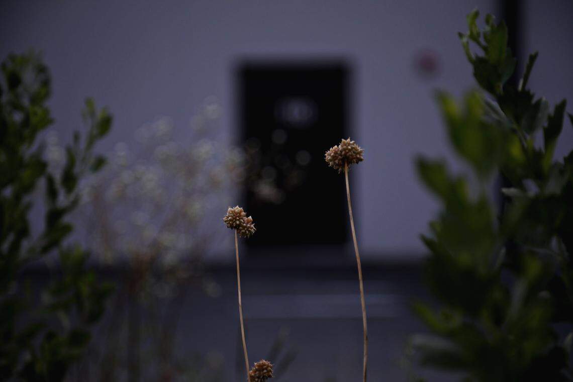 The back door of Neon Moon Spa, an illicit massage business in a busy Durham strip mall, is directly across from a school. Many illicit massage businesses operate in plain sight.