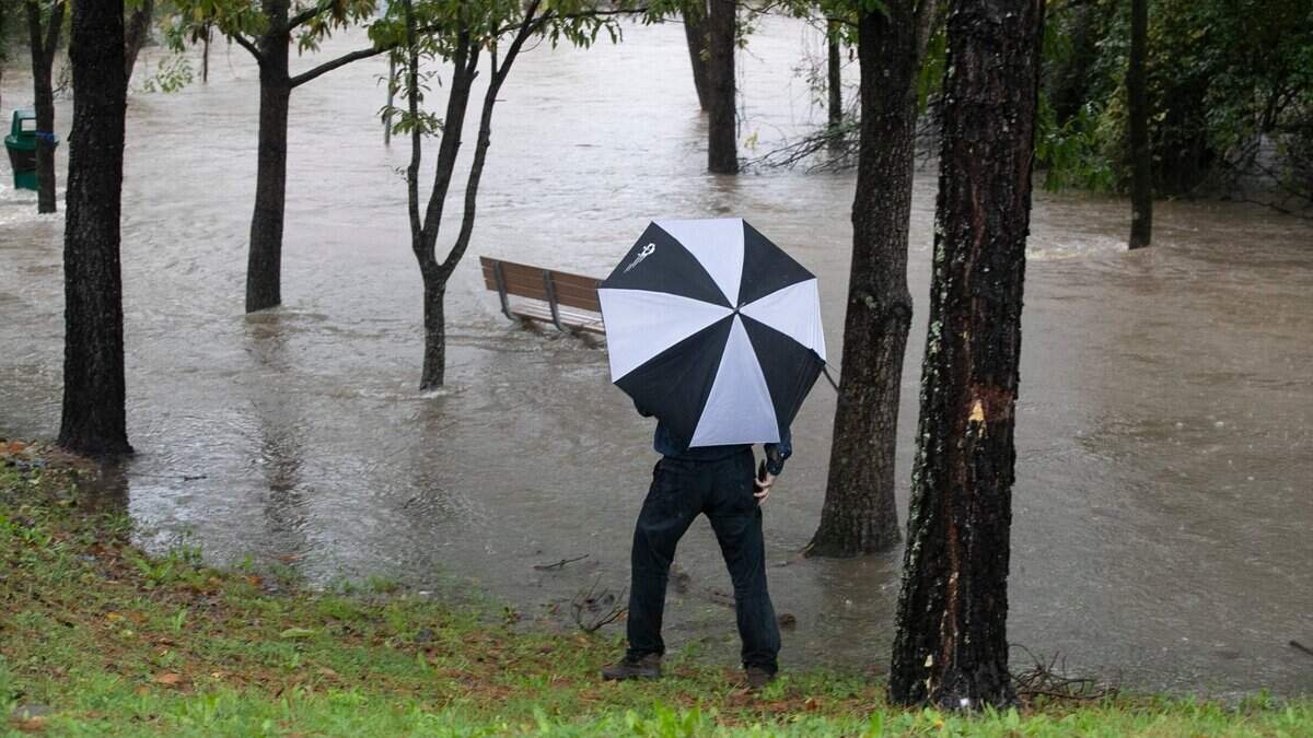An onlooker stops at the Walnut Creek Greenway on Bragg Street in Raleigh as heavy rain pushes Walnut Creek from its banks flooding the greenway trail on Thursday, November 12, 2020.