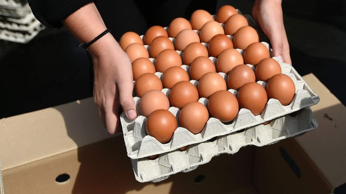 Can 30 grams of protein in the morning fire up your metabolism? What the science says
