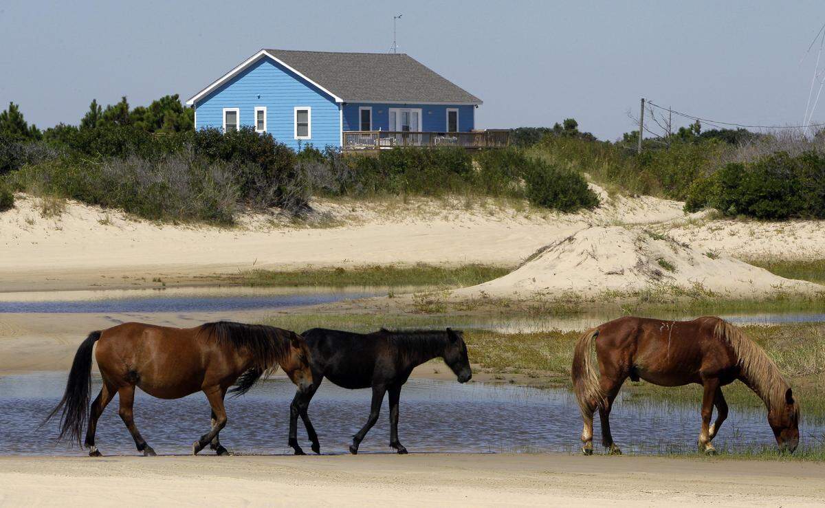 The Mid-Currituck Bridge would cross Currituck Sound from the mainland to Corolla, an area of the Outer Banks known for wild horses.
