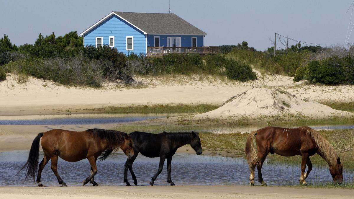 The Mid-Currituck Bridge would cross Currituck Sound from the mainland to Corolla, an area of the Outer Banks known for wild horses.