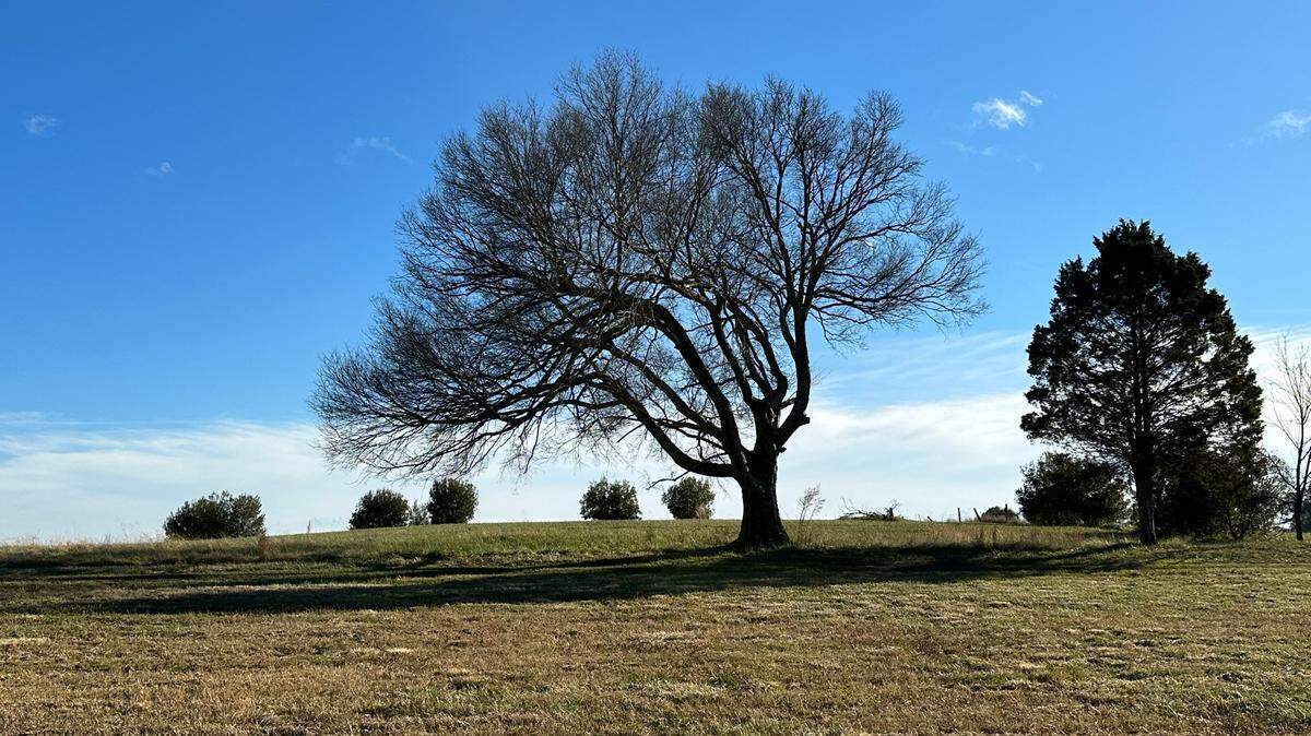 About 165 acres of fields and forests near Lake Benson that once belonged to the Rand-Bryan families have been bought by the Triangle Land Conservancy and the Town of Garner, which plans to open them to the public in the future. Martha Bryan Liles and her husband Robert chose to the preserve land that has been in her family since the late 1700s, rather than see it developed.