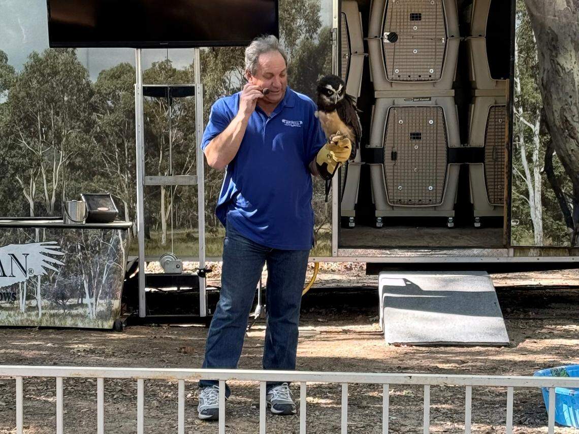 Joe Krathwohl, who’s known as The Birdman, holds a spectacled owl. The owl was one of several birds Karthwohl brought to his show at the N.C. State Fair on Friday, Oct. 18, 2024.