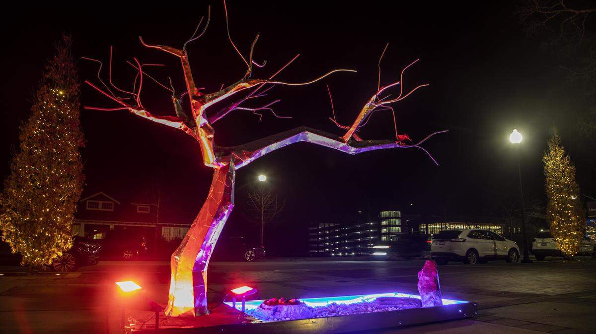 A new metal bonsai tree has been installed at 310 S. Academy St., Cary, as part of the town of Cary’s Academy Street Artwork Projects. It’s the third pop-up, temporary installation of five, all have a theme of ‘glow’.