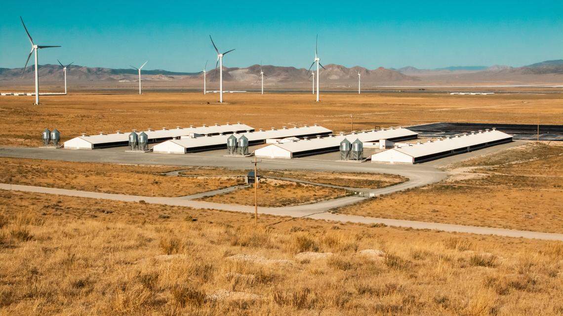 Align RNG, a partnership between Dominion and Smithfield, has received a permit to capture raw biogas from 19 farms in Duplin and Sampson counties before processing and selling it. Here, a farm near Milford, Utah, that has already had an anaerobic digester built to capture the gas is shown, but the digester, covered in black, has not yet inflated with gas.