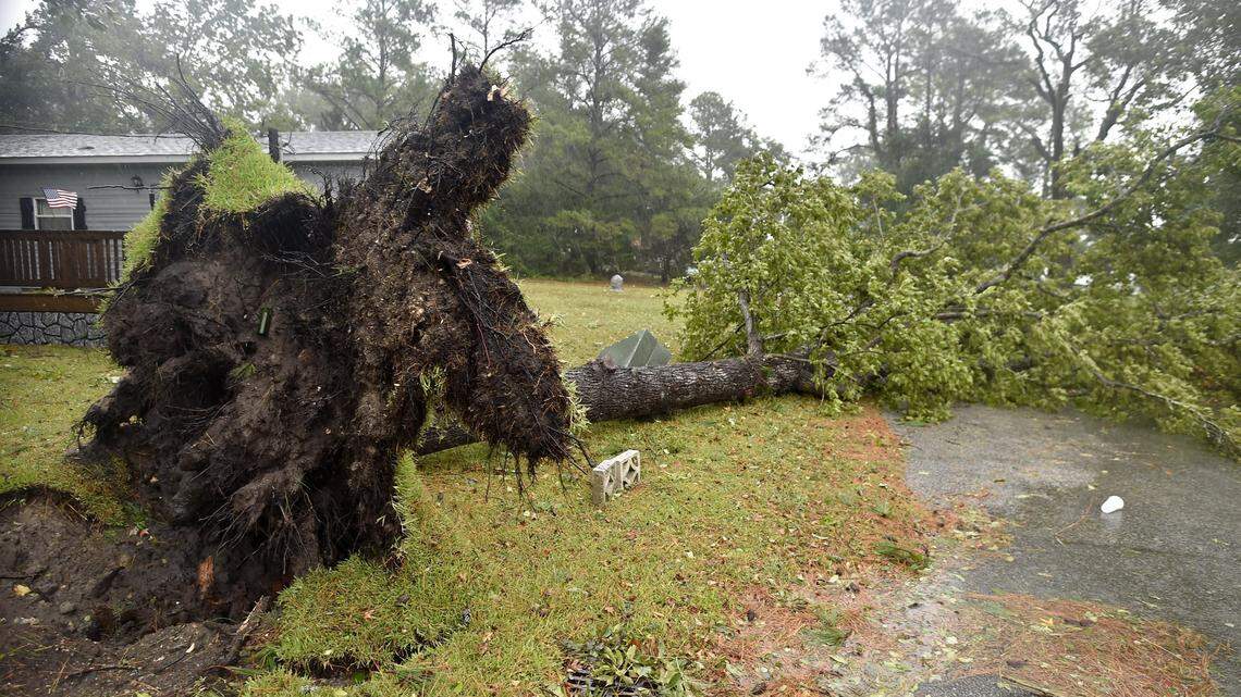 Hurricane Florence, which downed huge oaks and flooded roads, has been blamed on another death.